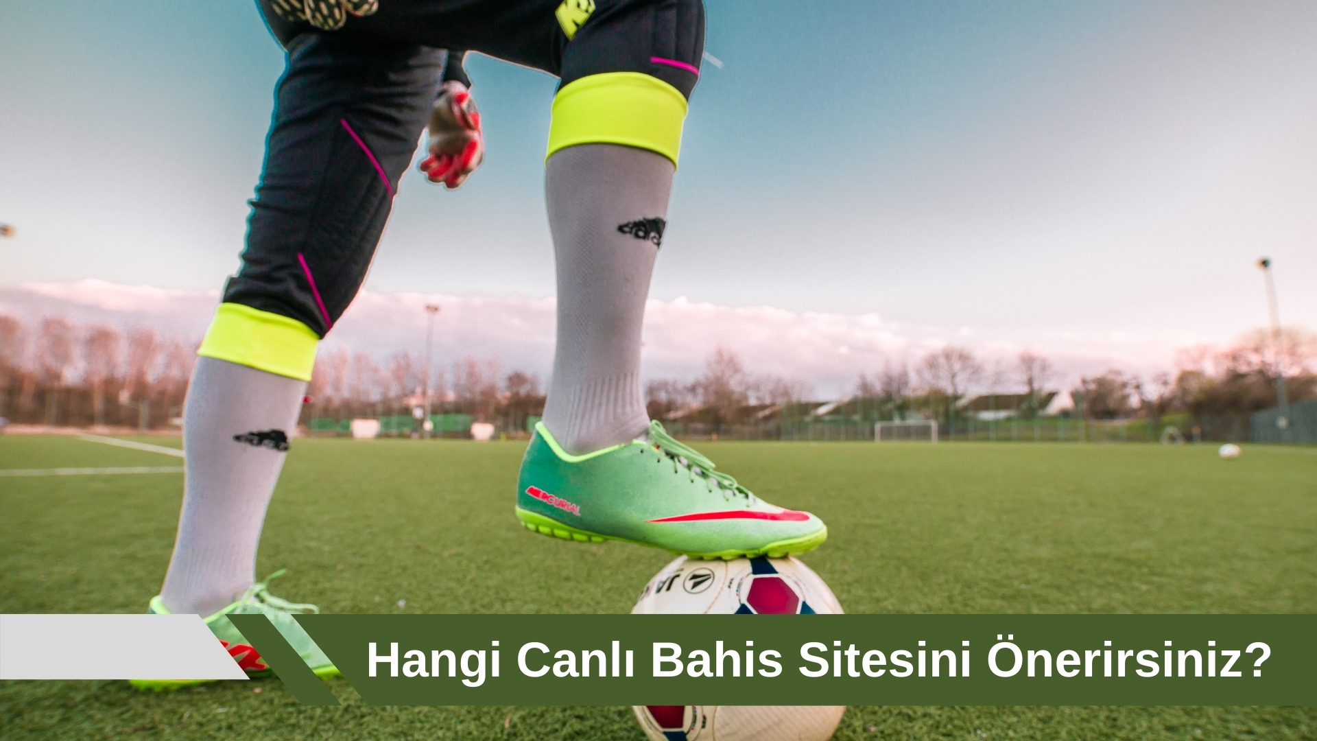 Hangi Canlı Bahis Sitesini Önerirsiniz
