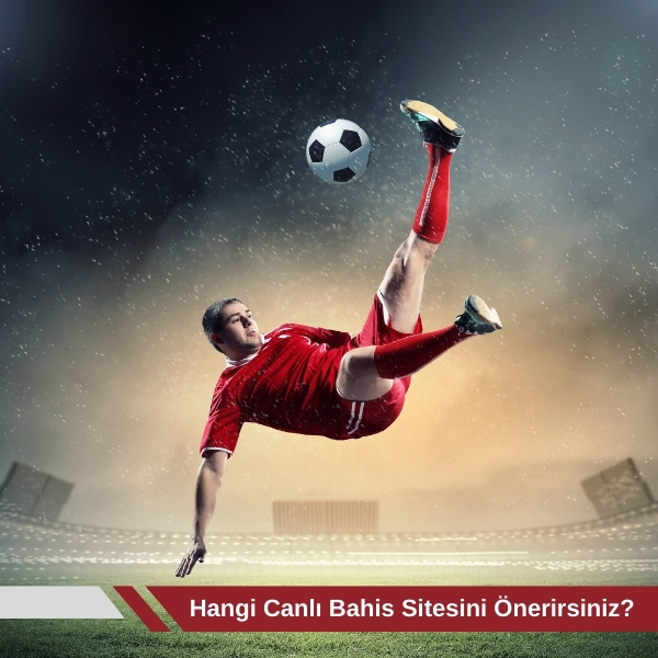 Hangi Canlı Bahis Sitesini Önerirsiniz